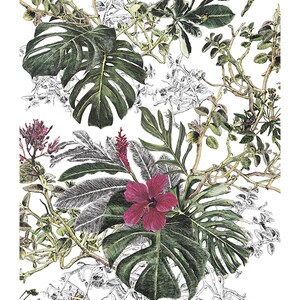 Tropical leaves botanical wallpaper pattern