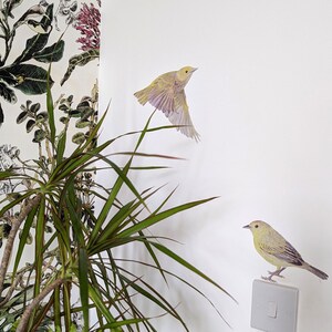 Bird flying reusable wall stickers on wall