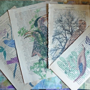 Vintage Book Page Prints: Birds & Plants - 1940s/50s Collage Art