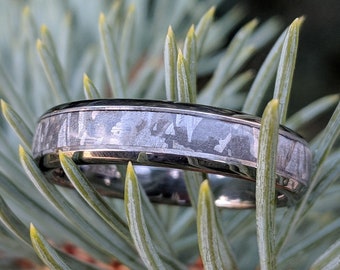 Anillo auténtico de meteorito Gibeon en titanio de grado aeroespacial - Meteorito 4B