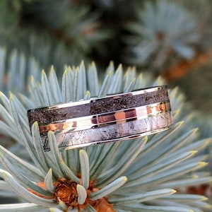 Meteorite Ring with 14k Rose Gold and Dinosaur Fossil Inlay, Custom Made Meteorite Wedding Band
