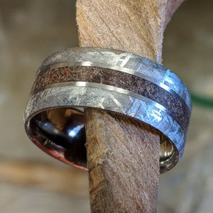 Authentic Tyrannosaurus & Gibeon Meteorite Ring Dinosaur Bone Groom&#39;s Wedding Band