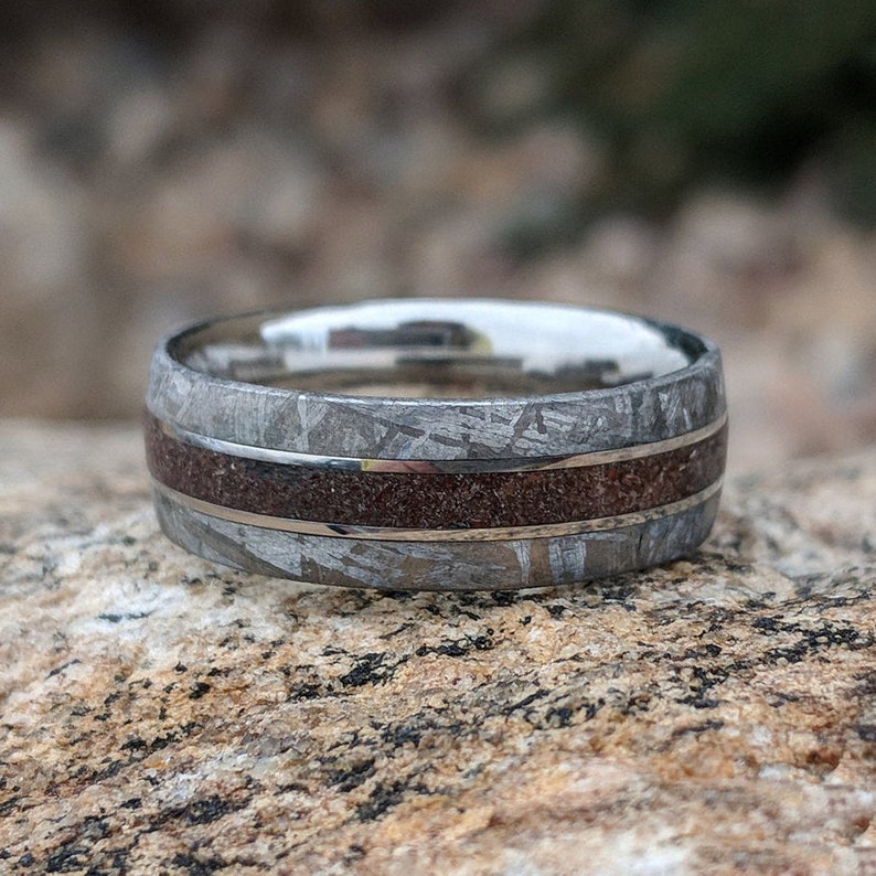 8mm Dinosaur Bone and Gibeon Meteorite Ring Custom Made image 0