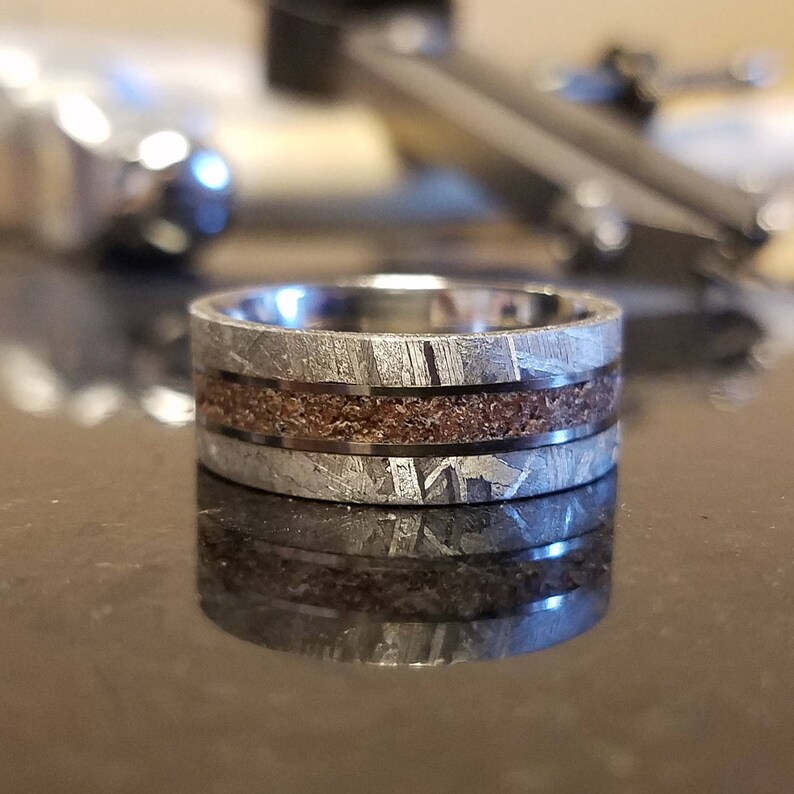 dinosaur bone meteorite ring dinosaur bone meteorite ring