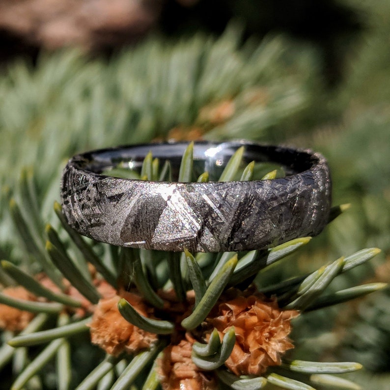 Gibeon Meteorite Wedding Band with Cobalt Chrome Sleeve  6mm image 1