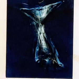 La coda di un delfino