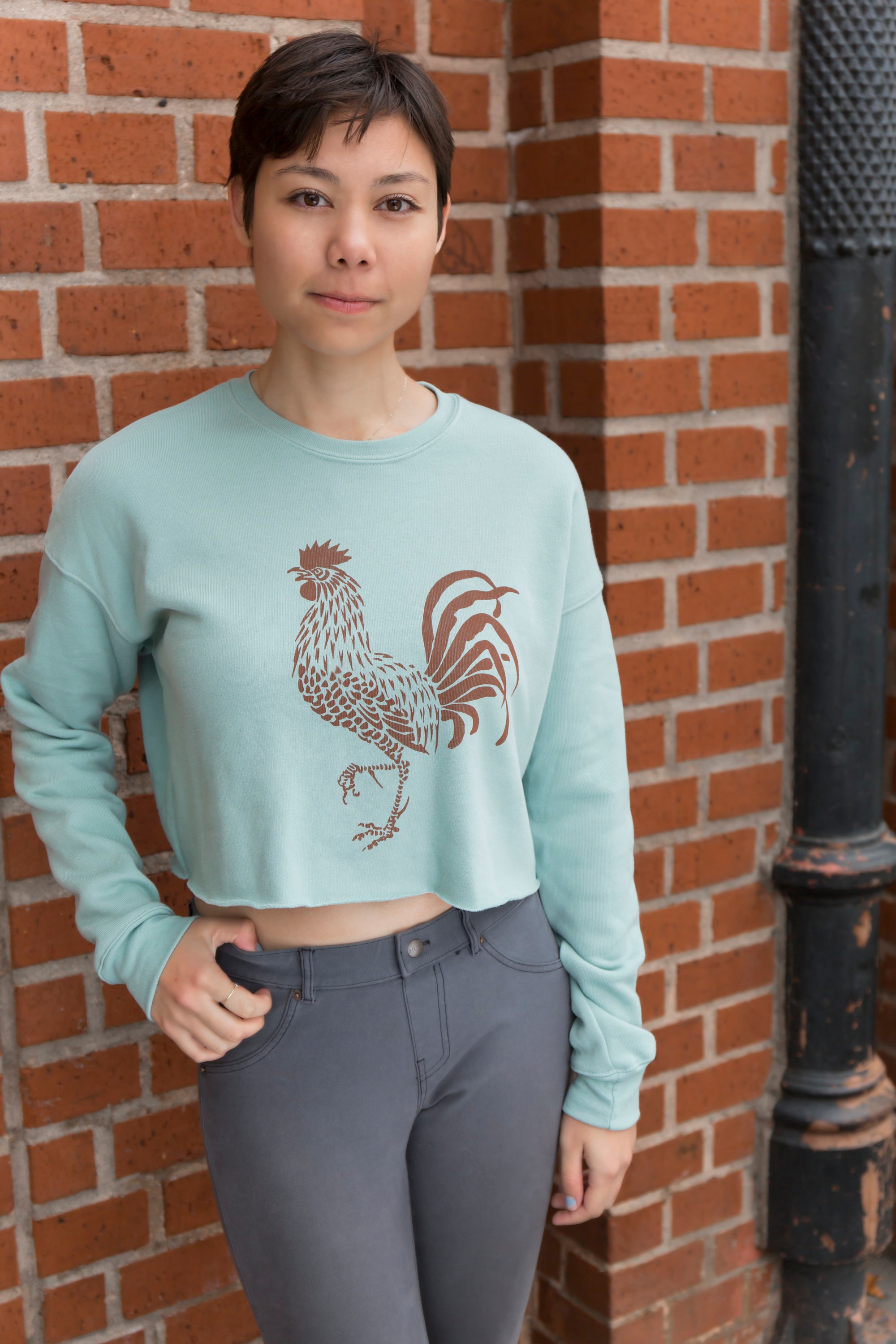 fall crew neck sweatshirts