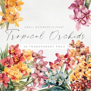 Tropical Orchids Clipart, Exotic Watercolor Flowers PNG, Jungle Wedding Clipart, Orchid Botanical Graphics, Palm Leaves Clip Art