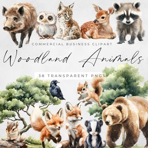 Watercolor Woodland Animals Clipart: Forest Nursery PNG (Digital Download)