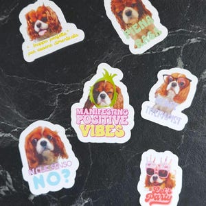 Stickers adesivo personalizzabile