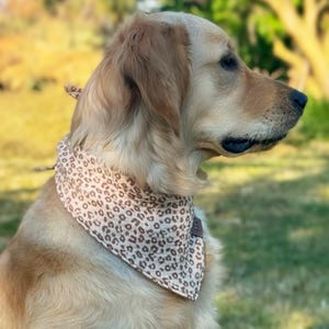 Könnte beinhalten: Ein Golden Retriever-Hund trägt ein braun-beiges Bandana mit Leopardenmuster. Der Hund ist im Freien mit einem verschwommenen grünen Hintergrund. Das Bandana ist um den Hals des Hundes gebunden.