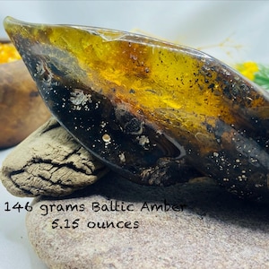May include: A polished piece of Baltic amber with a gradient of translucent golden yellow to opaque dark brown, containing visible organic inclusions. The text 146 grams Baltic Amber 5.15 ounces is printed on the surface of the stone.