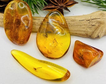 REALI inclusioni di insetti d'ambra di medie dimensioni, 1,5-3,5 grammi di pietre preziose d'ambra baltica con fossili originali