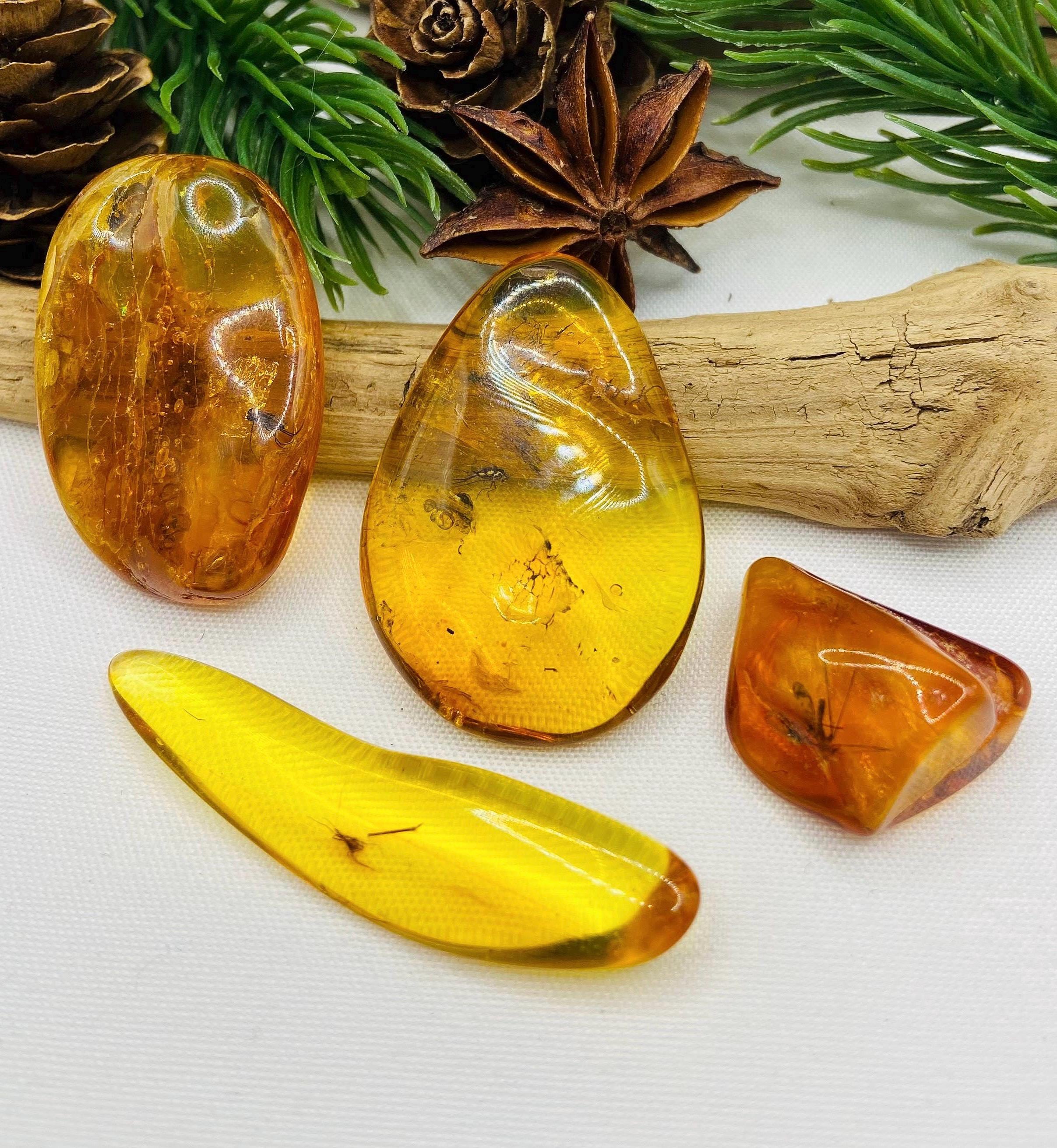 Jurassic park amber - Etsy 日本