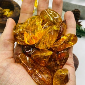 Può includere: Un pugno di pietre d'ambra lucidata di varie forme e dimensioni. I pezzi d'ambra variano dal giallo chiaro al marrone arancio scuro, con motivi interni visibili. Le pietre sono tenute in una mano, con uno sfondo sfocato.