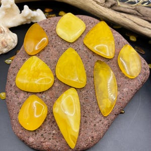 Brilliant Baltic Amber Cabochons, Polished Egg yolk Amber gemstones, jewelry craft and collectibles, precious Amber gift, 波羅的海琥珀, Bernstein