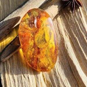 Rare grande inclusion fossile d'ambre, pierre précieuse de type Jurassic Park 14 grammes