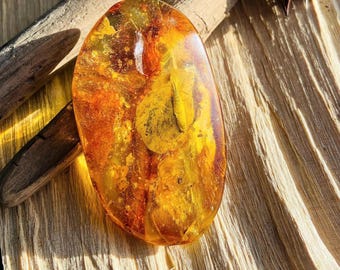 Rare Large Amber fossil inclusion, Jurassic Park type gemstone 14 grams