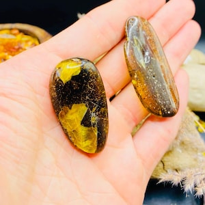 Green Amber unique gems, semi-polished Baltic Amber rocks, Amber cabochons with special green hue, 10-15 grams in one bulk, 波羅的海琥珀 Bernstein