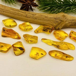 May include: A collection of polished amber stones in various shapes and sizes, displaying a warm, golden-yellow hue. Some pieces contain visible inclusions. The arrangement is set against a neutral background, with a wooden branch and greenery in the background.