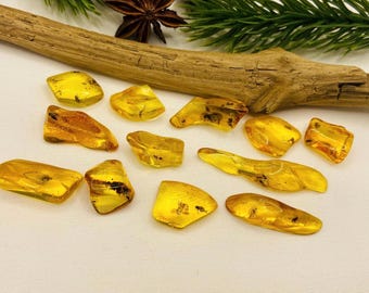 Piccole inclusioni di zanzare in ambra REALI, ambra baltica autentica con fossili di insetti da 0,5-1 grammi di gemme