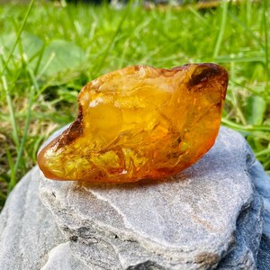 Könnte beinhalten: Ein rohes, durchscheinendes Stück gold-orangener Bernstein mit unregelmäßiger, organischer Form und glatter, polierter Oberfläche. Der Stein zeigt interne Variationen in Farbdichte und Klarheit und leuchtet warm, wenn er vom Licht getroffen wird.