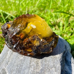 May include: A raw, unpolished piece of amber featuring a deep, dark brown exterior that transitions into a translucent, bright yellow core. The surface displays irregular, jagged textures and natural inclusions, showcasing a high-gloss finish.