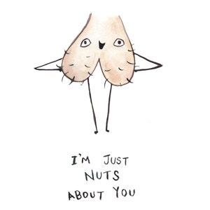 Carte drôle - je suis juste fou de vous - carte drôle Saint Valentin - amour et Nutsacks - Illustration à l’aquarelle