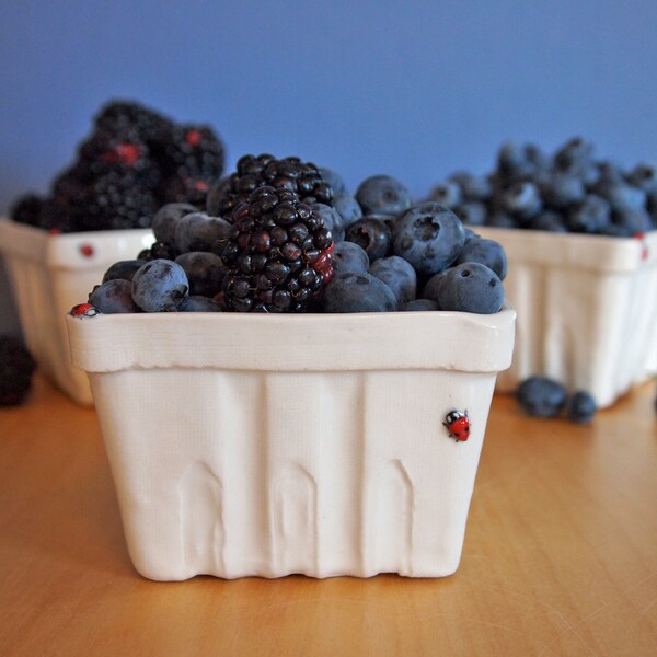 berry basket with ladybugs