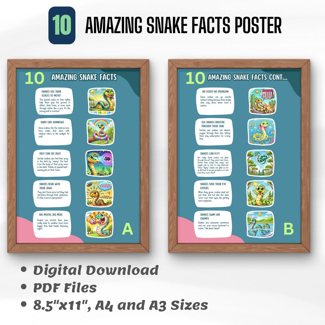 Snake Poster Art, Facts About Snakes Homeschool Snake Art, Classroom ...