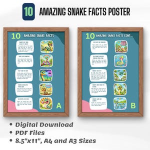 Snake Facts Poster: Homeschool Classroom Reptile Decor (PDF)