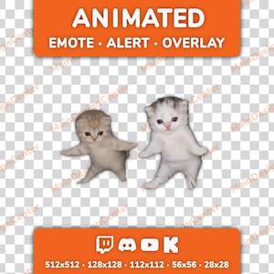 Könnte beinhalten: Zwei kleine Kätzchen, die auf ihren Hinterbeinen stehen und die Arme ausstrecken. Das obere orangefarbene Banner zeigt den Text ANIMATED EMOTE ALERT OVERLAY. Das untere orangefarbene Banner enthält Social-Media-Symbole und den Text 512x512 128x128 112x112 56x56 28x28.