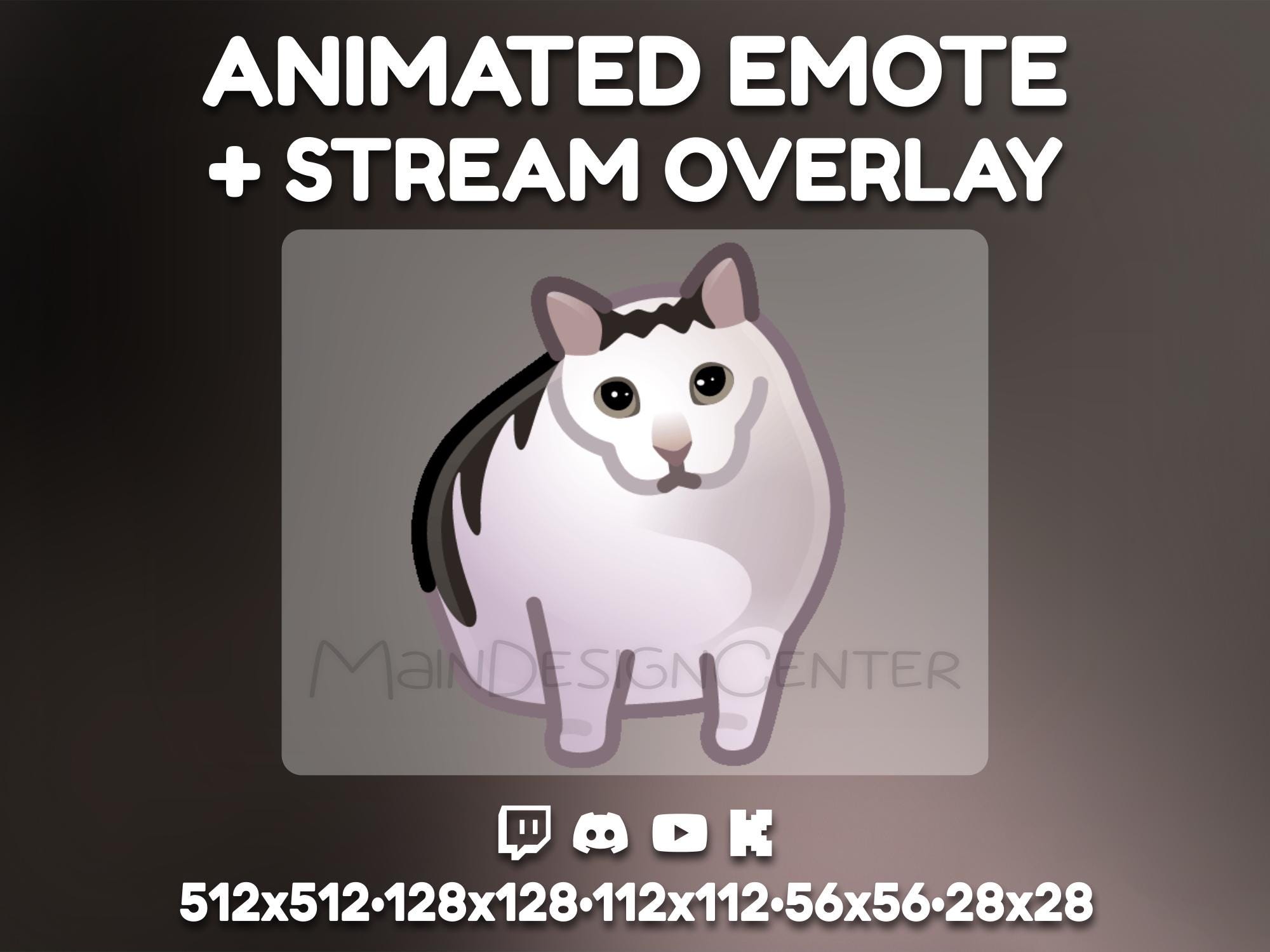 Kick Troll Confused Cat Animated Emote · Perfect for Twitch, Discord, Youtube ...