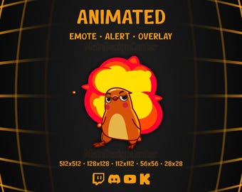 Explosion Cool Animated Emote Orange Emoji Bird Stream Overlay Follow Alert Twitch, Discord, Kick, Youtube Streaming GIF