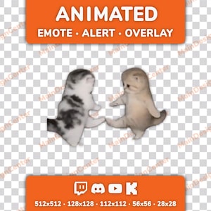 May include: An animated graphic featuring two kittens standing on their hind legs and touching paws. The top orange banner displays the text ANIMATED EMOTE ALERT OVERLAY. The bottom orange banner shows icons for Twitch, Discord, YouTube, and Kick.