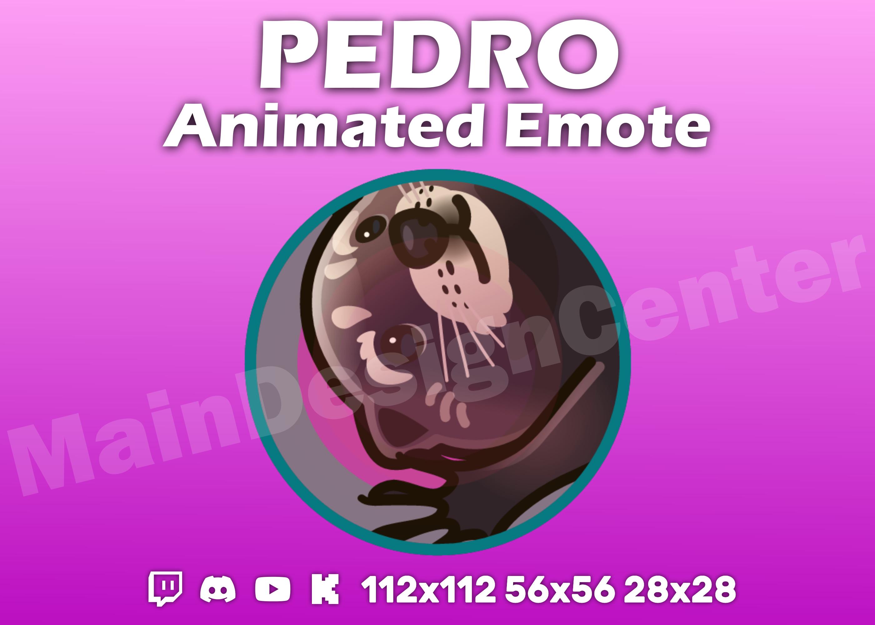 Pedro Dancing Raccoon · Meme Animated Emote · GIF Chat Emoji · Twitch, Discord, Youtube, Tiktok · Funny Colorful Overlay · Streaming Assets