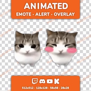 Può includere: Due illustrazioni digitali di gatti con motivi tigrati marroni e bianchi. Il gatto a sinistra ha grandi occhi neri, mentre quello a destra ha gli occhi chiusi e guance rosa. Il testo arancione recita ANIMATED EMOTE ALERT OVERLAY.