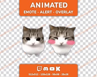 Dam Dam Didi Didi · Cat Animated Emote + Stream Overlay · Twitch, Discord, Youtube, Kick · Viral Tiktok Meme