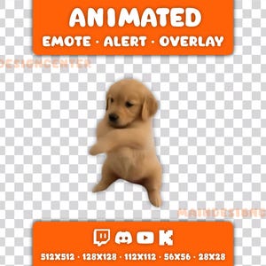 Könnte beinhalten: Animierte Grafik eines tanzenden Golden Retriever Welpen. Das Bild enthält den Text "ANIMATED EMOTE ALERT OVERLAY" in Weiß auf einem orangefarbenen Banner. Zusätzliche orangefarbene Banner zeigen Social-Media-Symbole und Abmessungen.