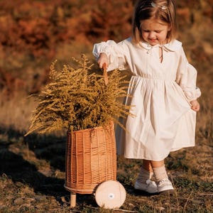 Wicker Trolley Toy PicnicWicker Rolling Cart Rattan Flower Cart Trolley-Basket White Wicker Trolley Playroom Boho Decor