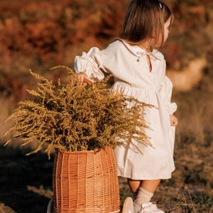 Wicker Rollwagen Rattan Blumenwagen Wicker Trolley Spielzeug Picknickkorb Weiß Wicker Trolley Spielzimmer Boho Decor