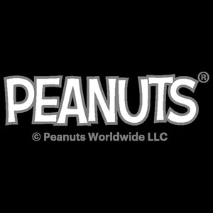 May include: The word PEANUTS is written in a bold, white, sans-serif font with a gray outline against a black background. A registered trademark symbol appears at the top right. Below the main text, the copyright text reads Peanuts Worldwide LLC.
