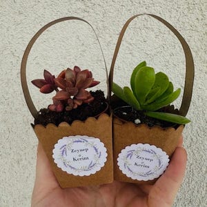 Recuerdos de boda personalizados con suculentas, mini macetas, regalos para despedidas de soltera