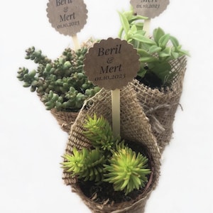 May include: Three small succulent plants in burlap-wrapped pots. Each plant has a wooden stick with a round, scalloped-edge tag that reads "Beril & Mert 01.10.2023". The plants have green and yellow-green leaves, and the burlap is a natural tan colour.