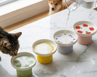 Keramik erhöhter Katzennapf • Kawaii Obst-Design, Schnurrhaarfreundlich