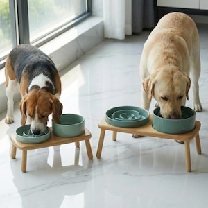 May include: Two dogs eating from teal-colored slow feeder bowls on wooden stands. The bowls are designed to slow down eating. The stands have four wooden legs. One dog is a beagle, and the other is a yellow Labrador.