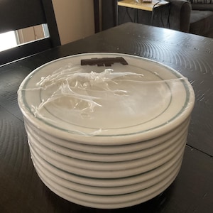 May include: A stack of white ceramic plates with a thin green border, wrapped in clear plastic. A dark brown object sits on top of the plates. The plates are on a dark wooden table.