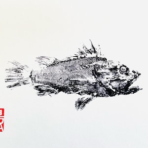 Digital print of our genuine Gyotaku fish print