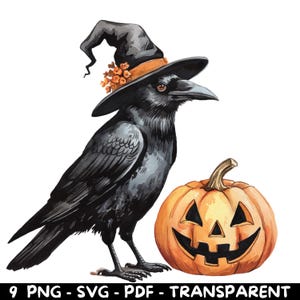 9 Corvo preto aquarela com chapéu de bruxa e abóbora | PNG, SVG, PDF | Alta resolução | Uso comercial