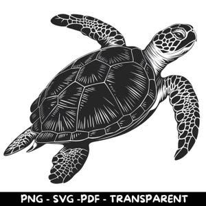 9 Schwarz-weiße Schildkröte Clipart | PNG, SVG, PDF | Transparenter Hintergrund | Kommerzielle Nutzung